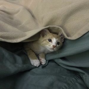 Meet your Posher, Erin